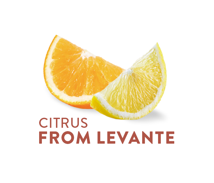 Citrus fruits from Levante