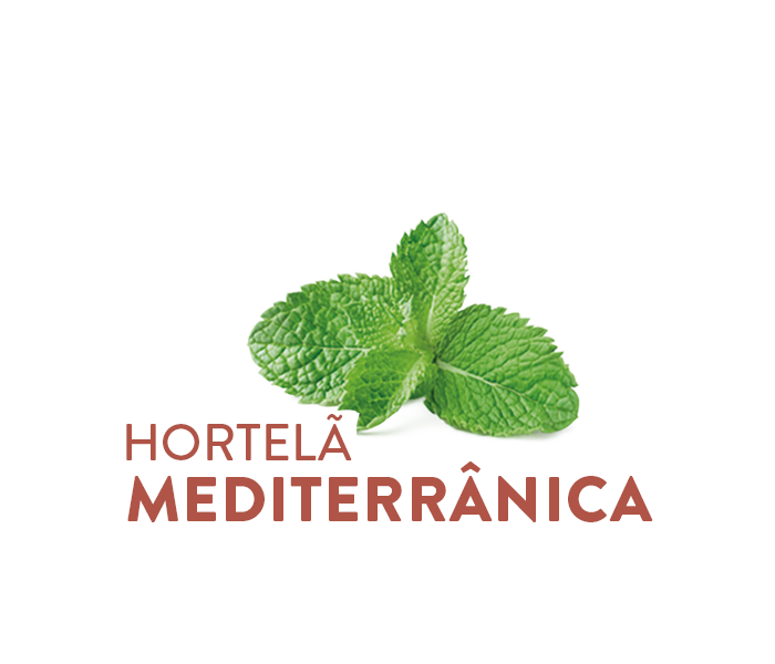 Hortelã Mediterrânica